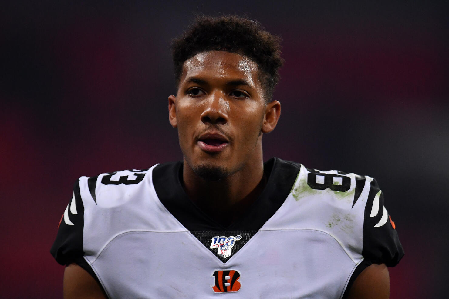 Cincinnati Bengals v Los Angeles Rams