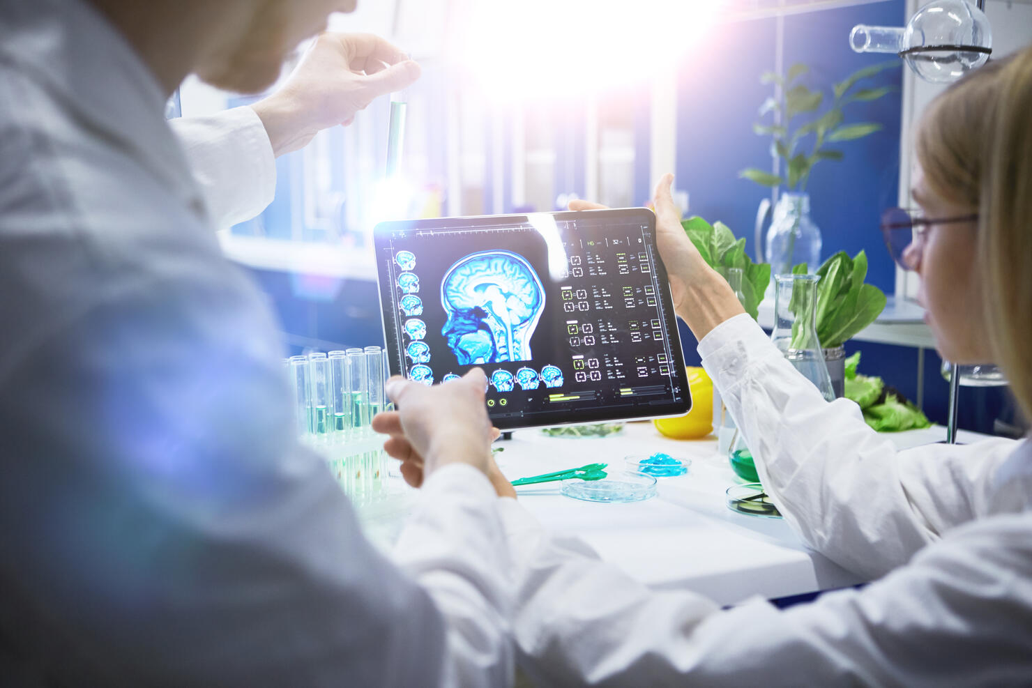 Working in laboratory