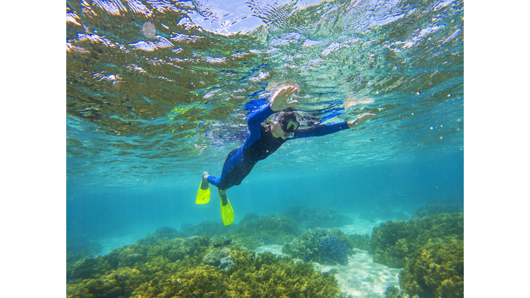 Great Barrier Reef, diver snorkeling looking at coral reef