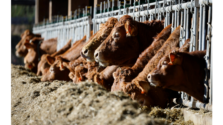 FRANCE-POLITICS-AGRICULTURE