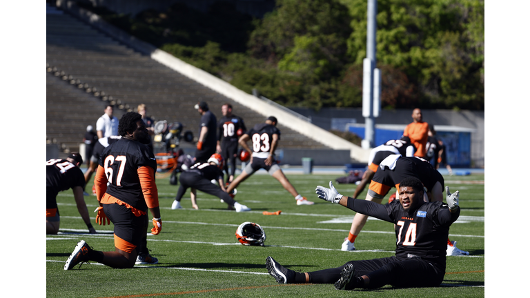 Super Bowl LVI - Cincinnati Bengals Practice