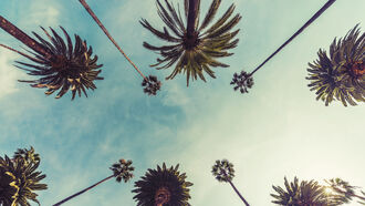 Malibu Mysteries / Space & Catastrophes