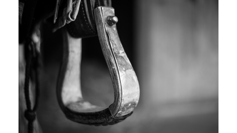 Horse Tack Close Up