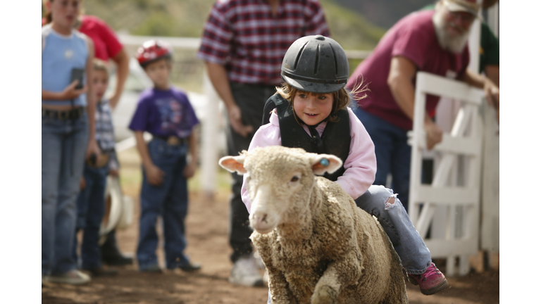 Girl (5-7) riding sheep in 'mutton busting' contest