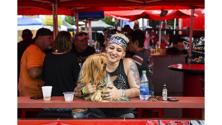 Sarasota is Getting it's First "Dog Bar" - It's Coming to Downtown SRQ