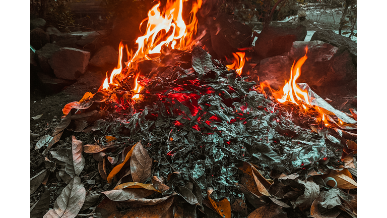 Garbage pile of dry leaves on fire