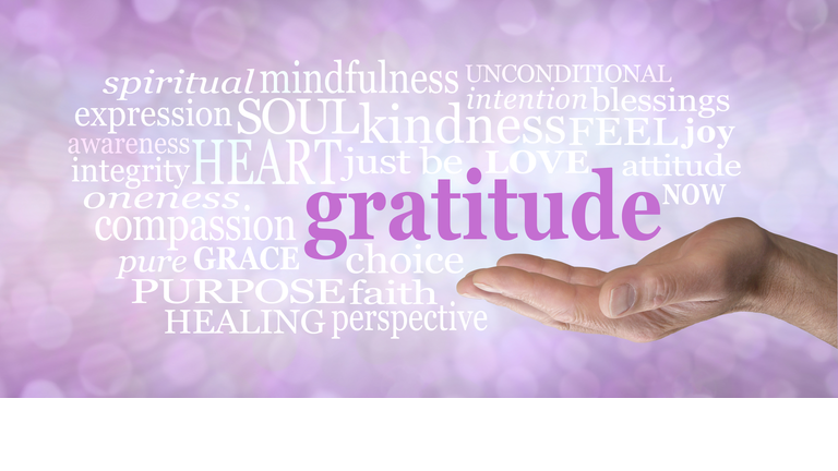 Words associated with expressing gratitude word cloud concept