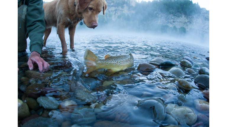 Back To The River