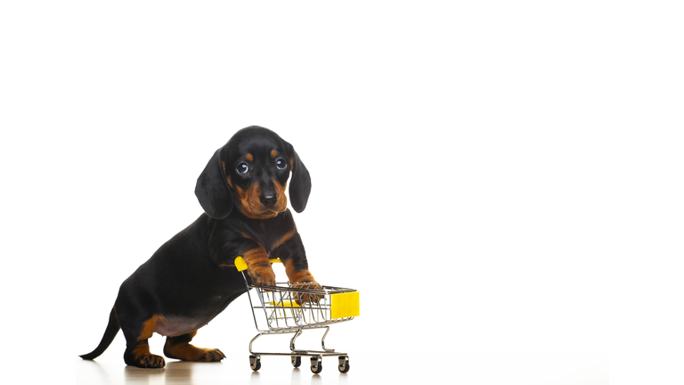 image of dog trolley white background