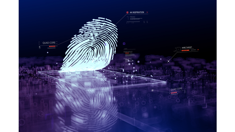 Digital fingerprint scanning verification process