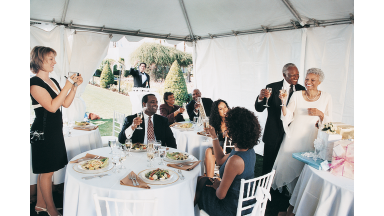 Mature Couple are Toasted at their Wedding Reception in a Marquee