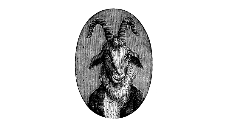 Humanized animals illustrations: Portrait of goat