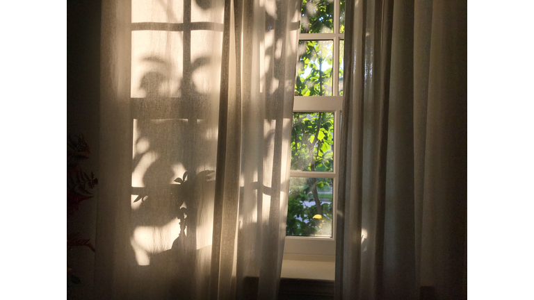 Shadows and Light on a Window Curtain