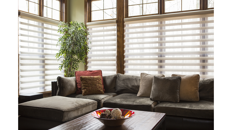 Sofa and blinds in living room