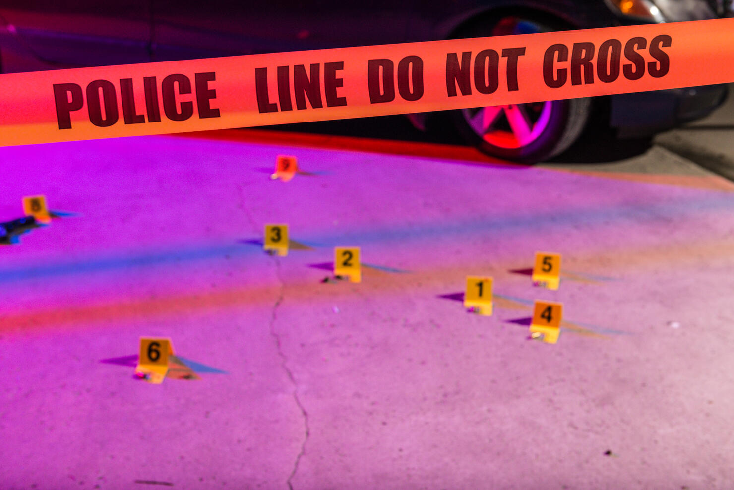 Police Line