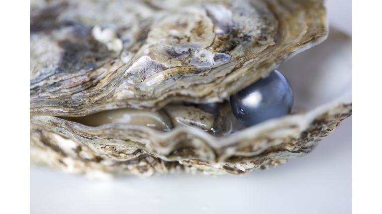 Couple Finds Pearl That Could Be Worth Thousands in Clam at NJ Restaurant
