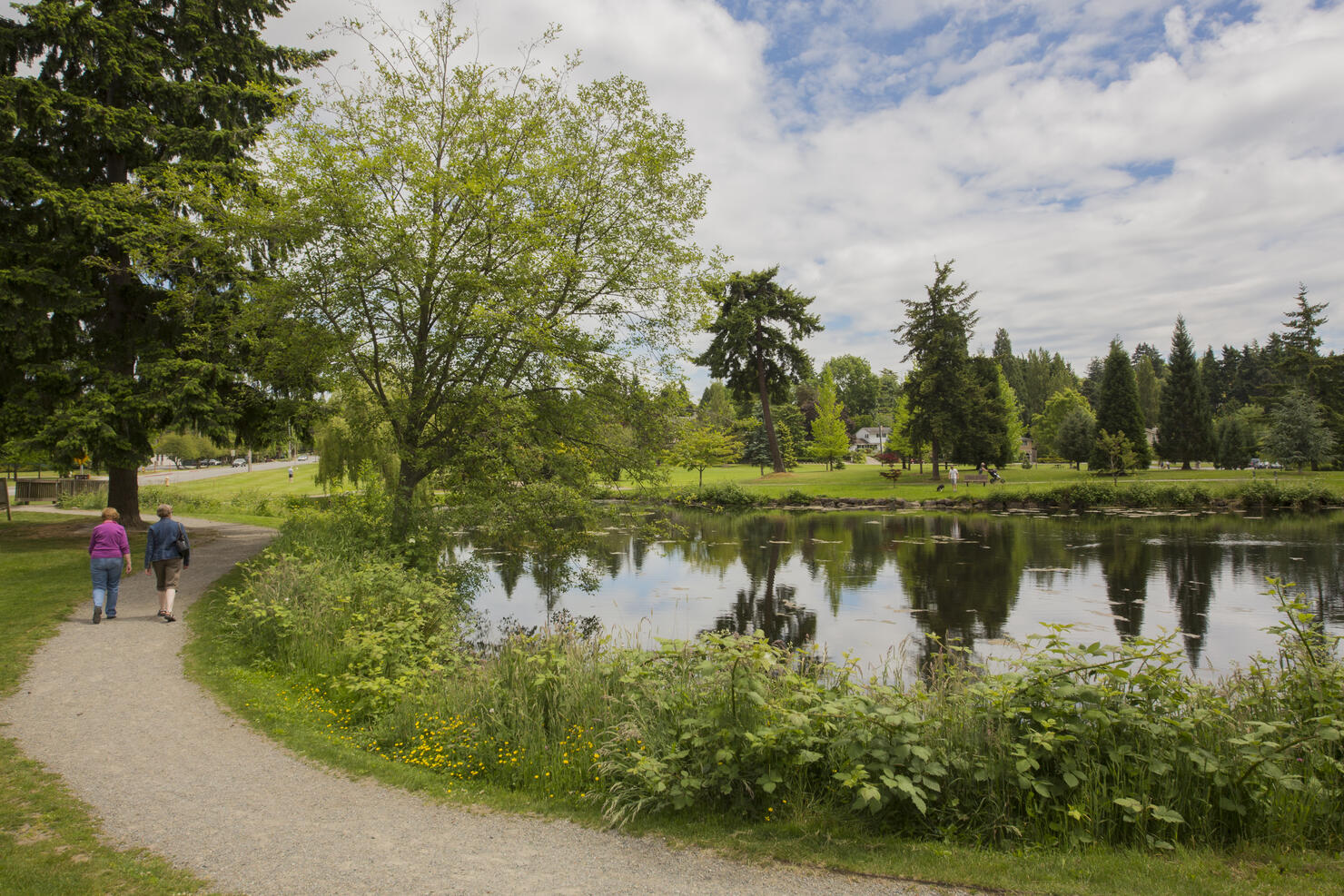 Bellevue Clyde Hill Pond