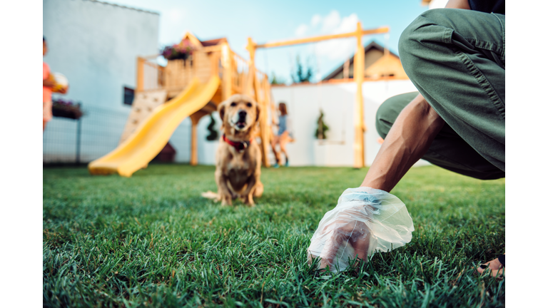 Woman picking up dog poop from the lawn