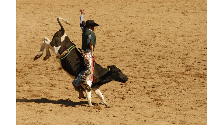 young bullrider