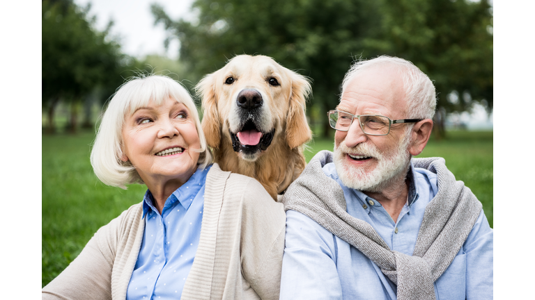 smiling senior couple looking at adorable dog while resting in park