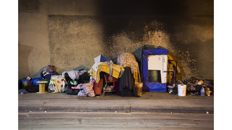 Los Angeless Homelessness