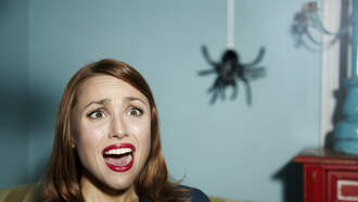  Una araña GIGANTE se mete en cuarto de una chica VIDEO VIRAL SUSTO!!!