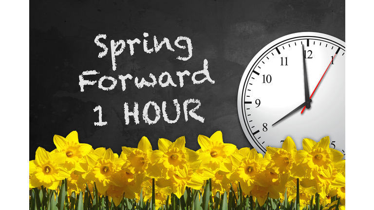 Chalkboard Clock - Spring Forward