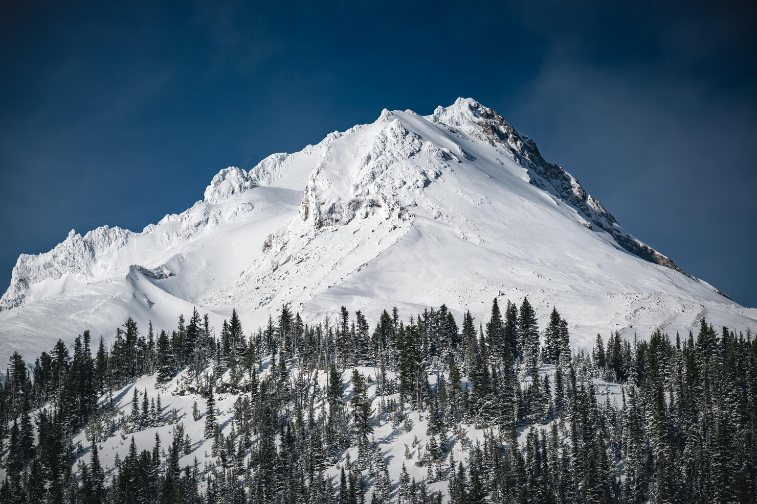 Mount Hood on a bluebird day.