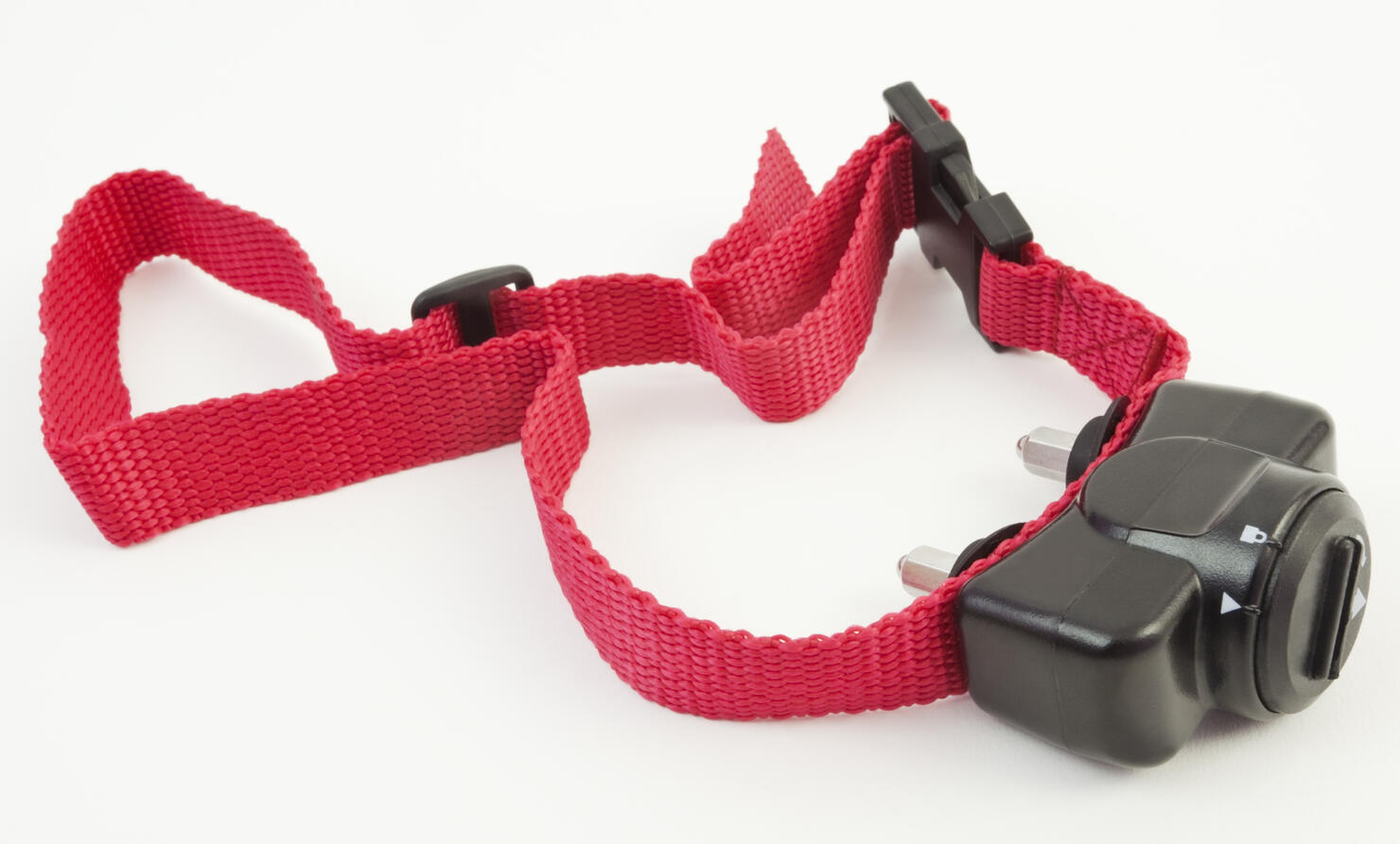Training Collar