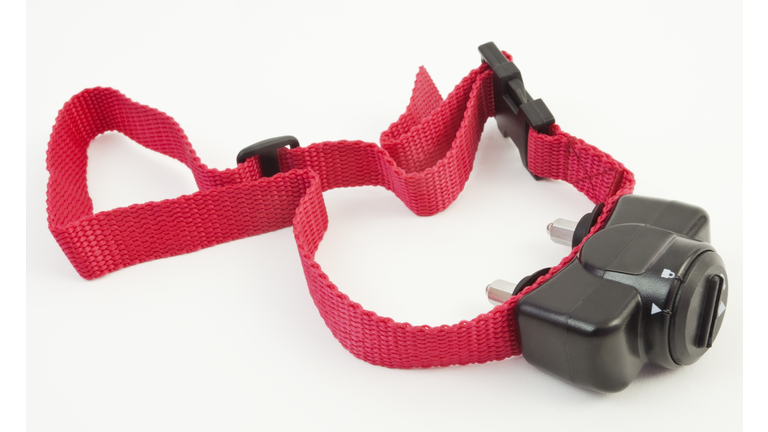 Training Collar