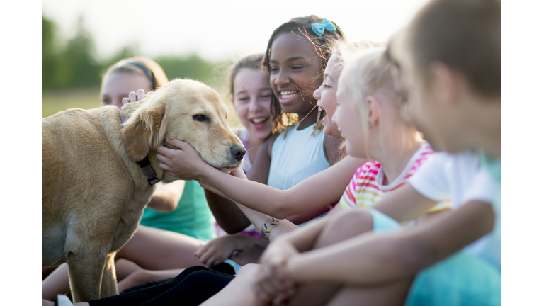 Children Petting a Dog