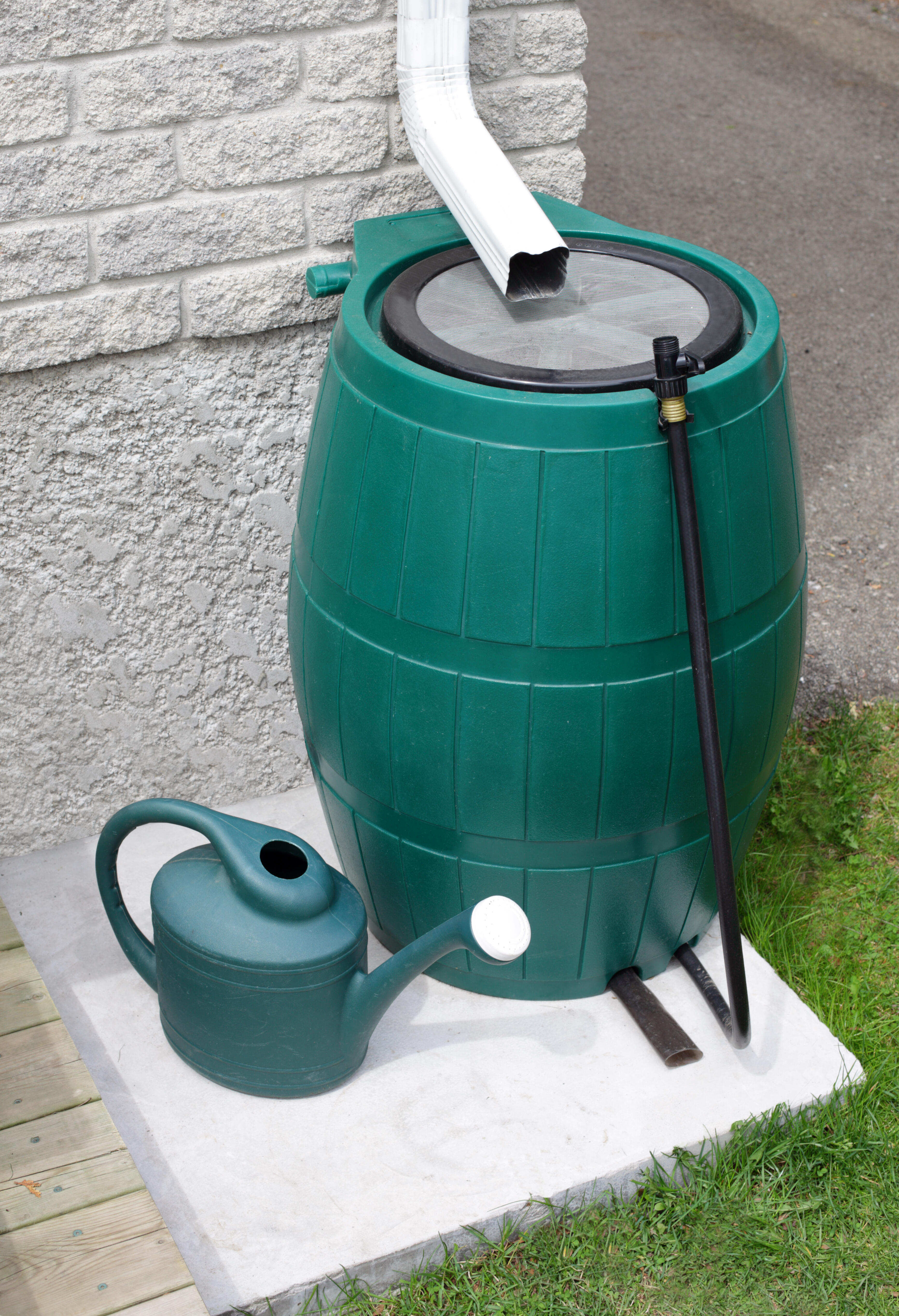 Бочка под дождем. Дождевая бочка Rain Barrel. Дождевая бочка Rain Barrel 240 литров. Емкость для сбора дождевой воды. Бак для сбора дождевой воды с краном.