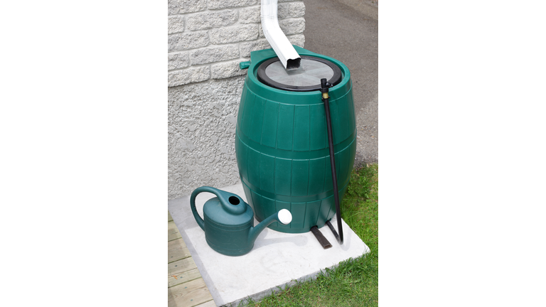 Rain Barrel