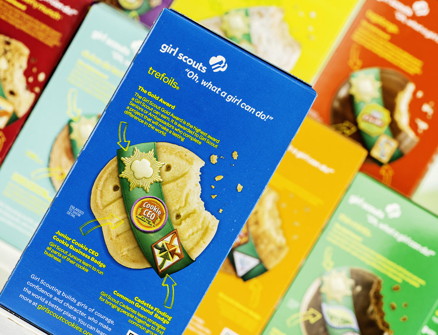 American Girl Scout Cookies
