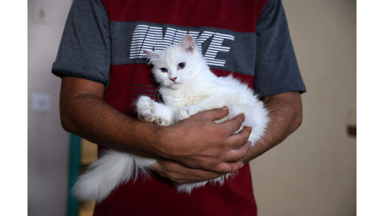 PALESTINIAN-GAZA-PETS-CATS
