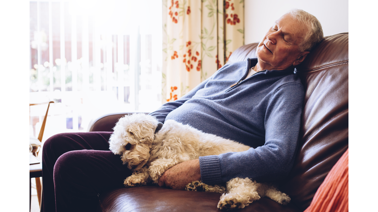 Afternoon Nap with the Dog