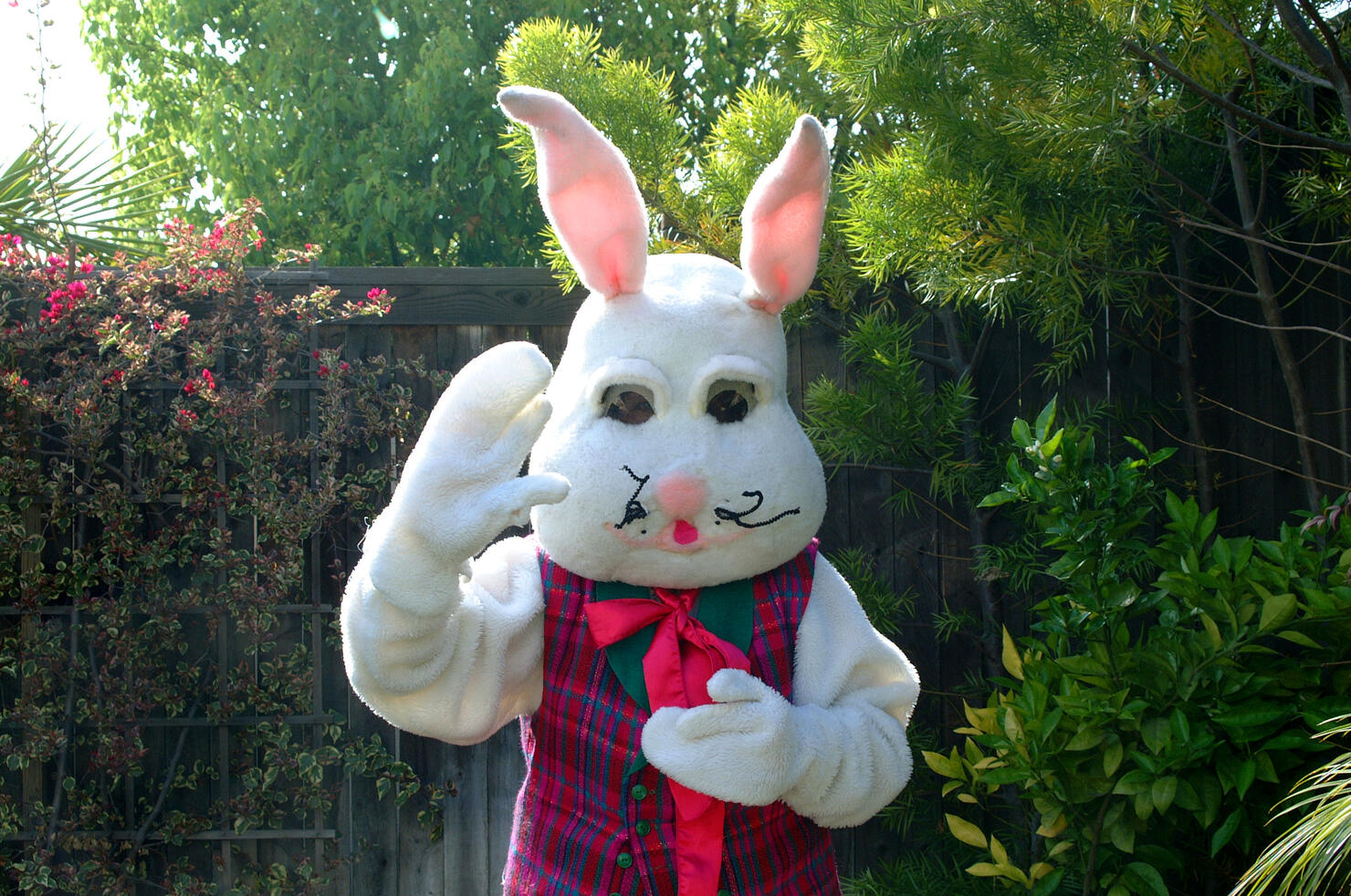 Easter Bunny at a backyard Easter egg Hunt