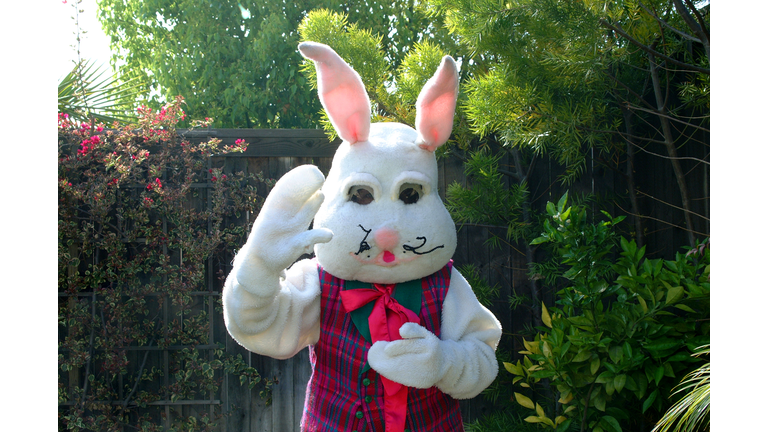 Easter Bunny at a backyard Easter egg Hunt