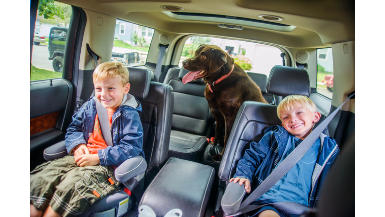Twin brothers sitting in back of vehicle, mischievous expressions, pet dog sitting behind