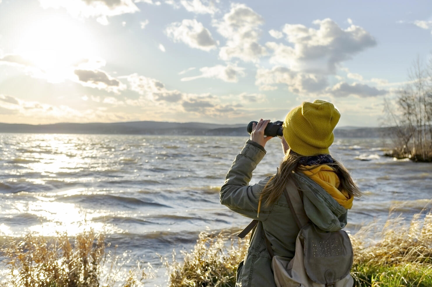 Young woman watching birds with binocular on lake. Scientific research