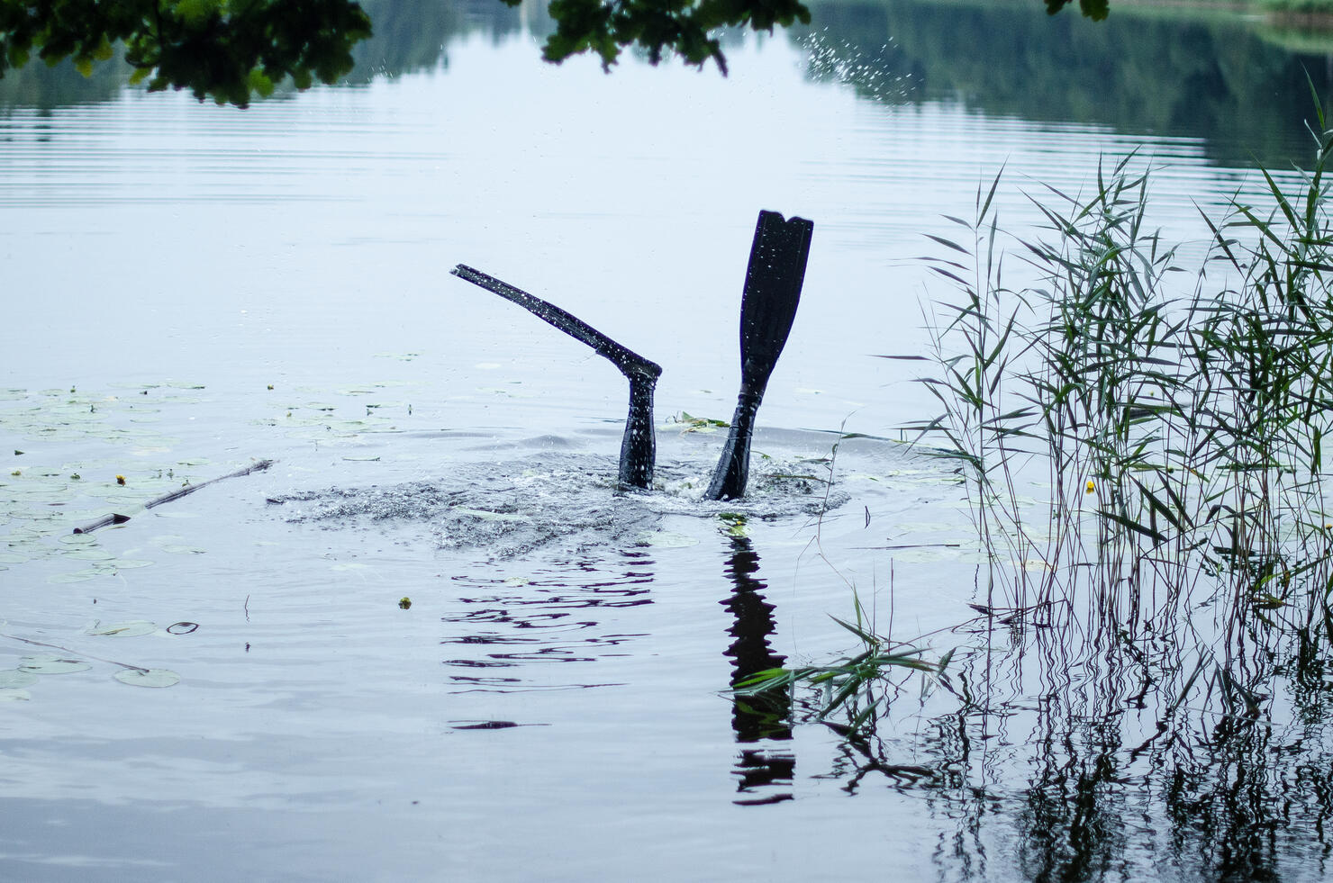 Scuba diver feet with snorkel fins out of water