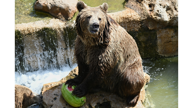 ITALY-ANIMAL-ZOO-WEATHER