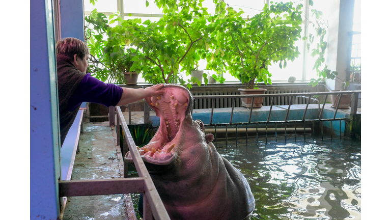 UKRAINE-RUSSIA-CONFLICT-ZOO