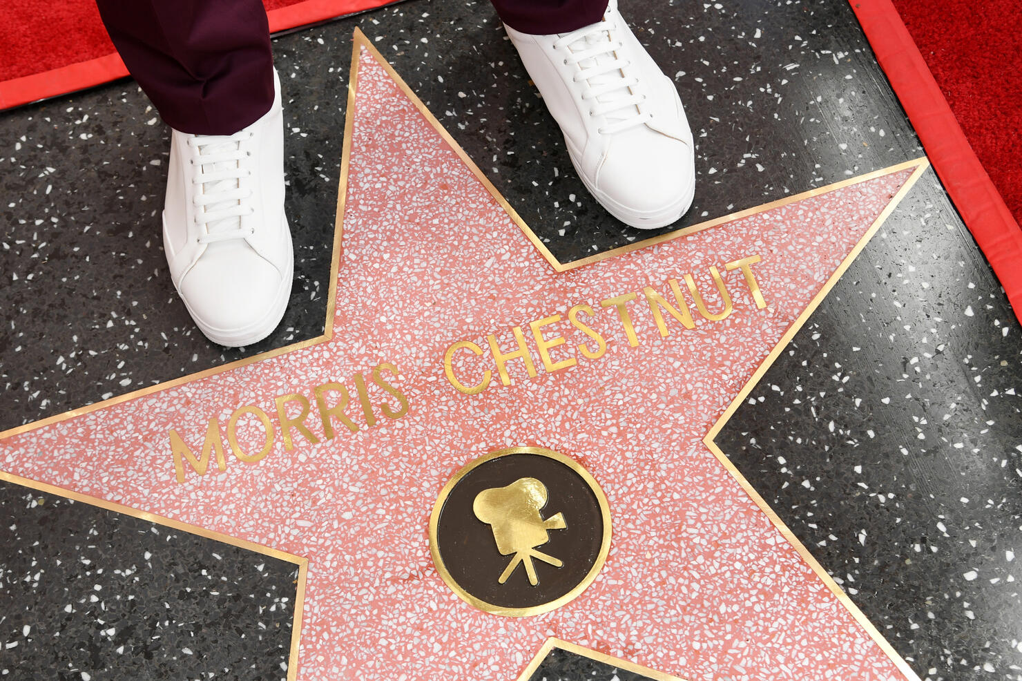 Morris Chestnut Is Honored With A Star On The Hollywood Walk Of Fame