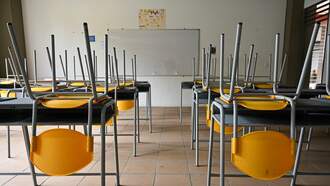 A Teacher Absolutely Lost It on His Class and Had to Resign