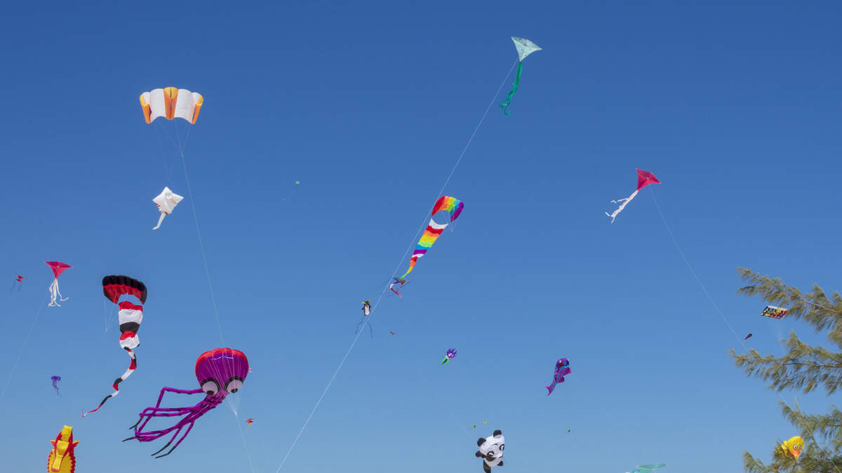 The Hermann Park Conservancy Kite Festival SUNNY 99.1 Rick Lovett