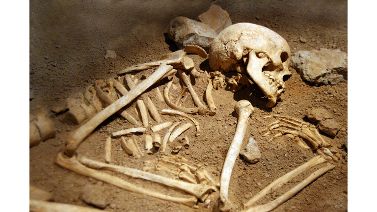 Close-up of human remains in soil