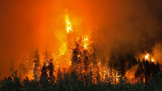 California Fires Special