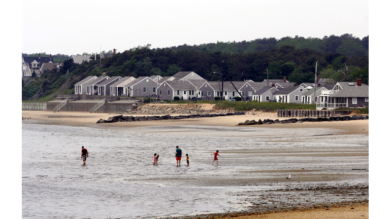 Red Tide Puts Strain On Clam Industry In Cape Cod