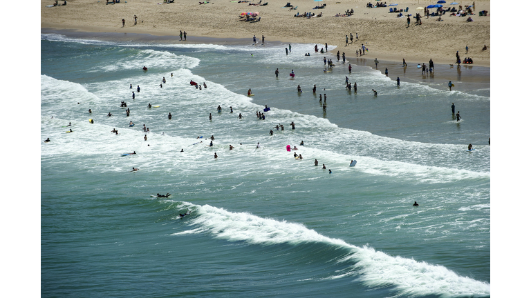 US-SHARK-ENVIRONMENT-LIFESTYLE